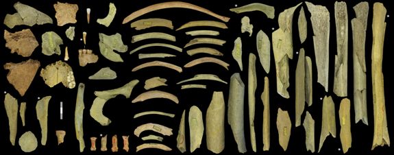кости неандертальцев