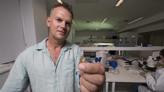 Кларк держит в руках 2700-летнюю иглу для татуажа, найденную в Тонга. Копирайт: Jack Fox/ANU