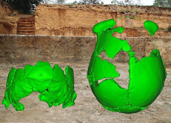 Фрагменты двух черепов (показаны здесь в цифровой реконструкции) на фоне раскопа в Сюйчане, где они были найдены. Credit: Xiu-Jie Wu