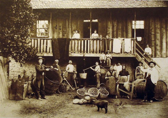 Италобразильские фермеры. Фото: 1918 г.
