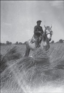 Комсомолец стережет колхозный урожай, Полтавская область, 1932 год. 
