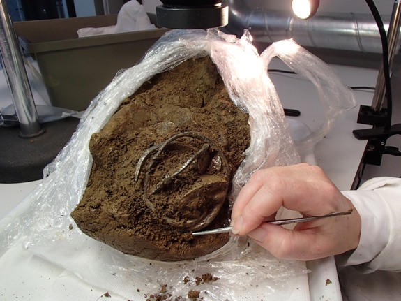Извлечение предметов клада из земляного кома. Trustees of the British Museum