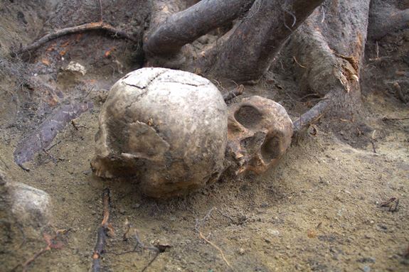 Костные останки из раскопа в Жагани