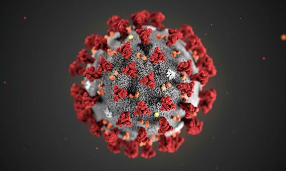 Модель коронавируса 2019-nCoV (COVID-19)