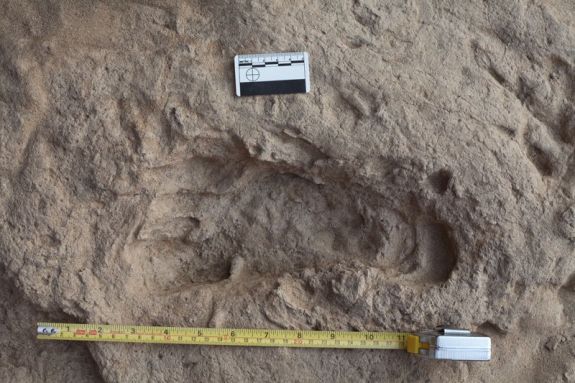 Отпечаток ноги человека прямоходящего. Возраст ок. 1,5 млн лет. Credit: copyright Kevin Hatala