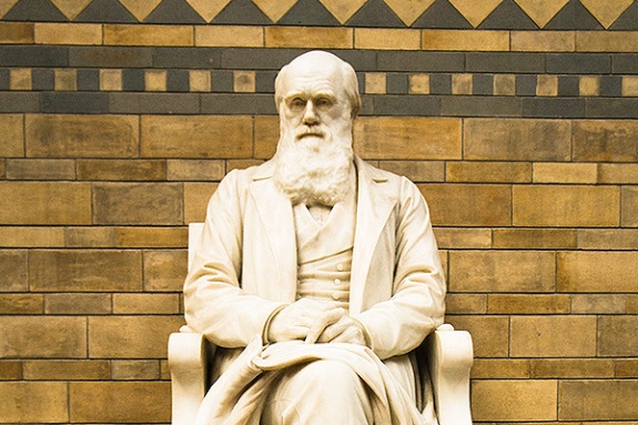 Памятник Ч. Дарвину в Музее естествознания в Лондоне, Великобритания