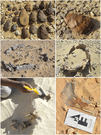 Палеолитические артефакты, найденные близ древних озер в пустыне Нефуд