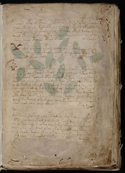 первый лист рукописи Войнича