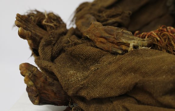 Пальцы мумии с вложенными перьями