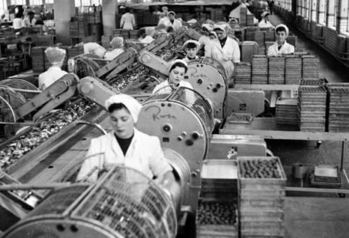 Работницы фабрики Кэдберри. Фото 50-х годов