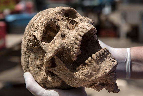 череп, найденный в Ашкелоне