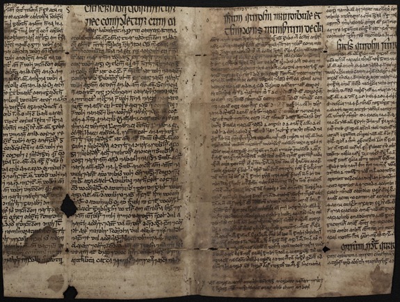 Разглаженный фрагмент из средневековой рукописи Авиценны