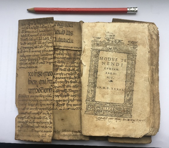 Страница из рукописи Авиценны XV века служит в качестве обложки для печатной книги