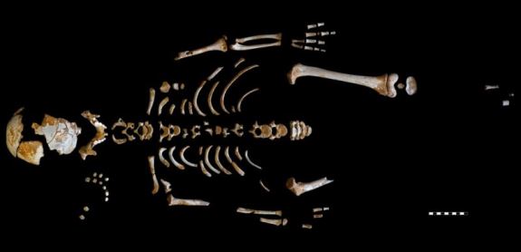 Скелет ребенка-неандертальца из пещеры Эль Сидрон. Credit: Paleoanthropology Group MNCN-CSIC