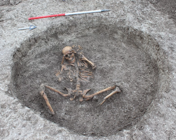 Скелеты, обнаруженные в Оксфордшире